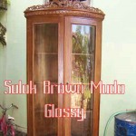 salak-brown-muda-glossy